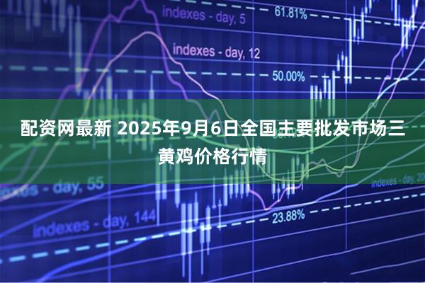 配资网最新 2025年9月6日全国主要批发市场三黄鸡价格行情